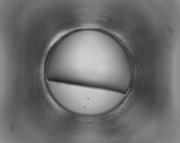 X0000112911422200908240957