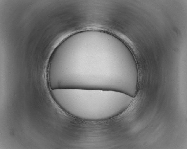 X0000112911423200908240957