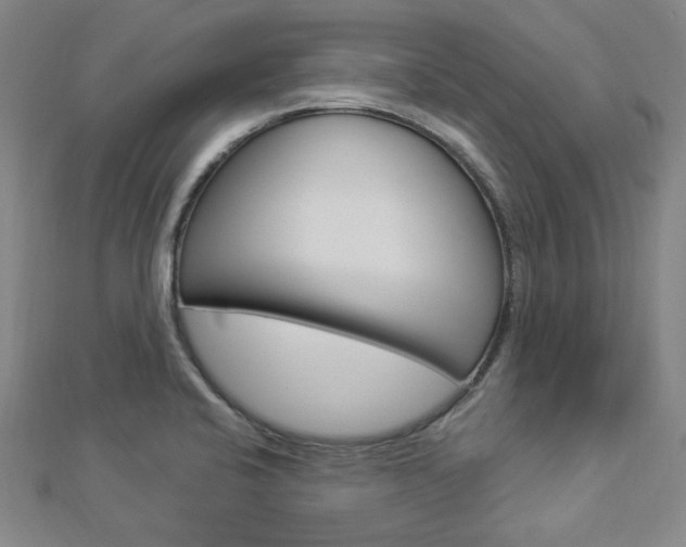 X0000112911424200908240957