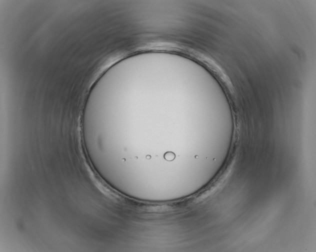 X0000112911425200908240957