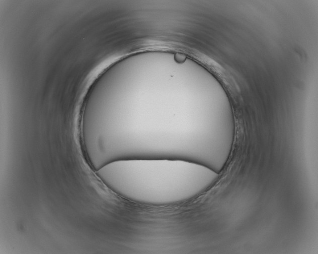 X0000112911427200908240957