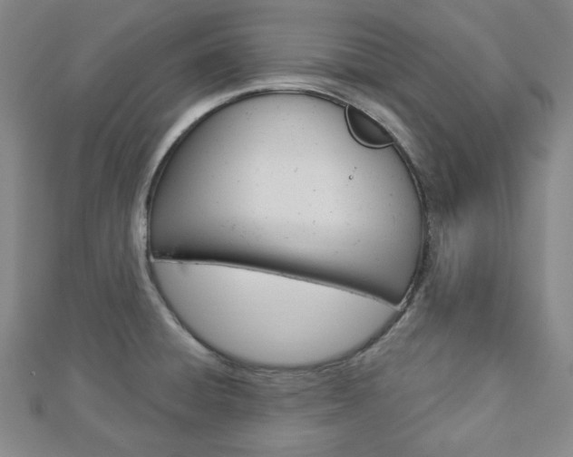 X0000112911428200908240957