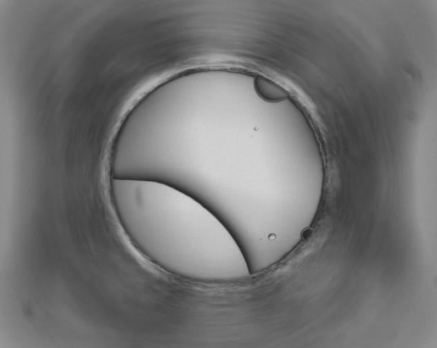 X0000112911429200908240957