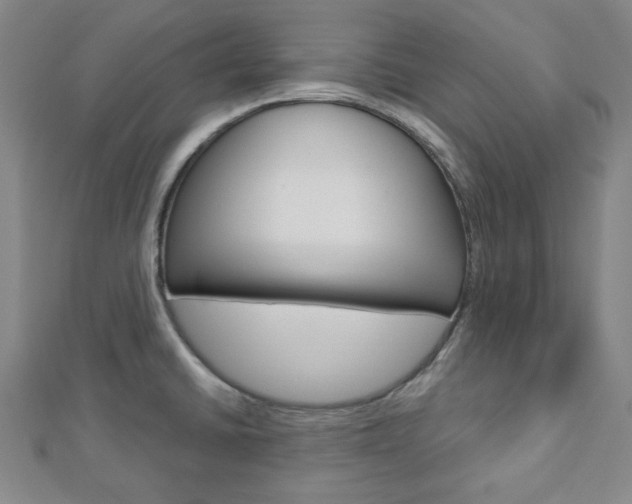 X0000112911430200908240957