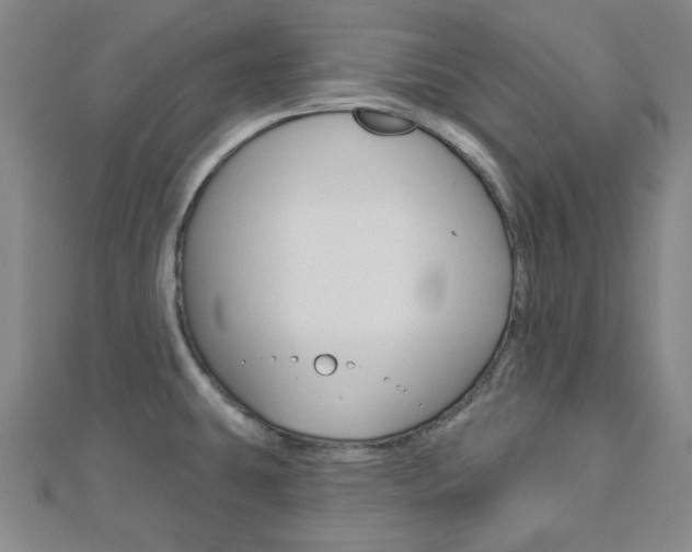 X0000112911431200908240957