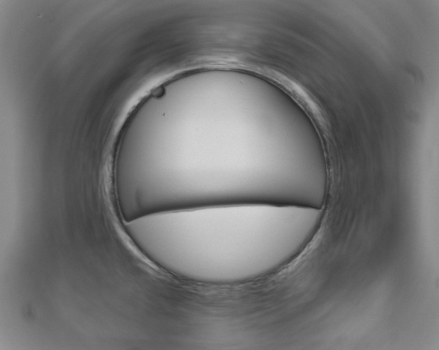 X0000112911432200908240957