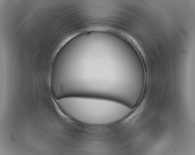 X0000112911433200908240957