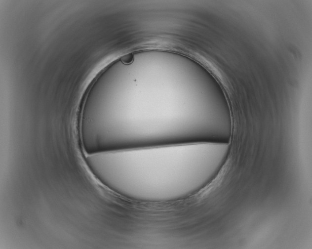 X0000112911434200908240957