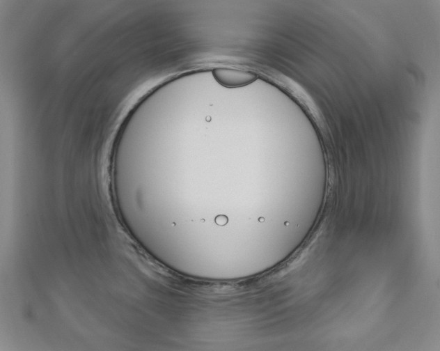 X0000112911435200908240957