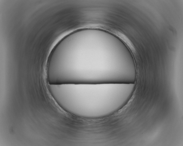 X0000112911436200908240957