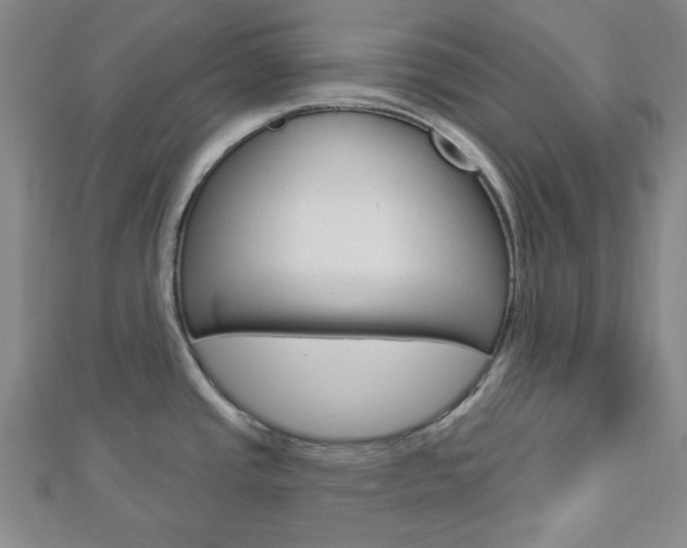 X0000112911437200908240957