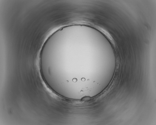 X0000112911439200908240958