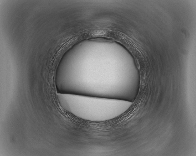 X0000112911441200908240957