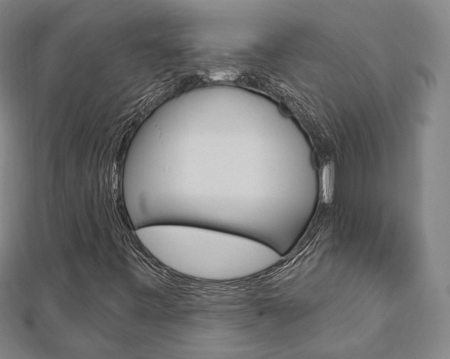 X0000112911443200908240957