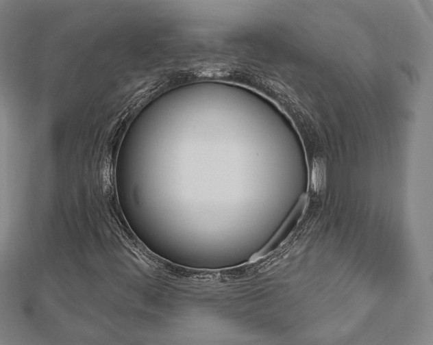 X0000112911444200908240957