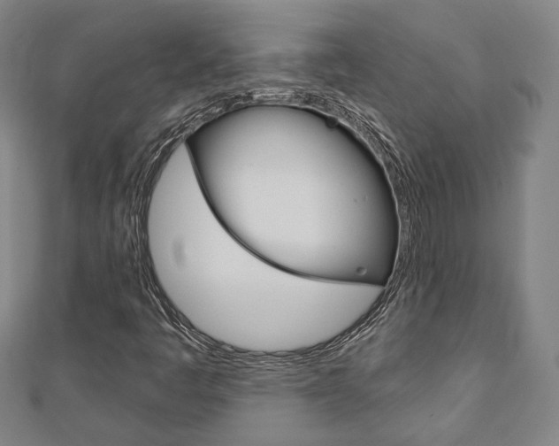X0000112911445200908240957