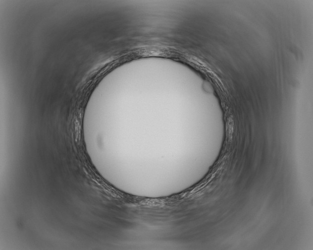 X0000112911446200908240957