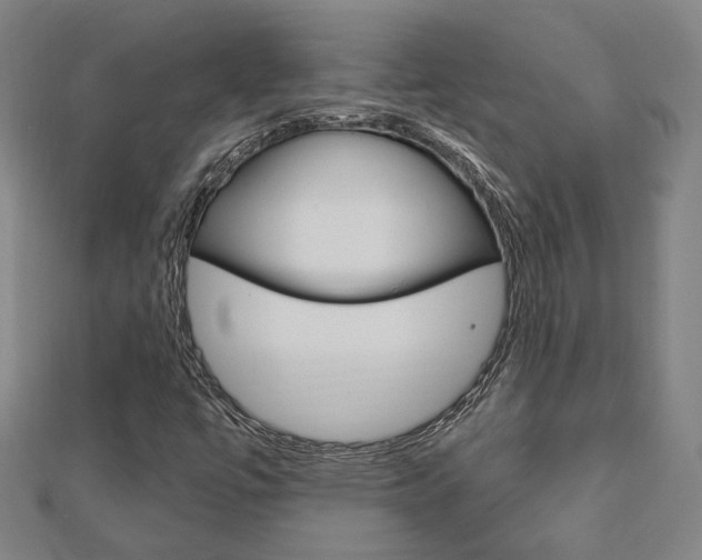 X0000112911447200908240957