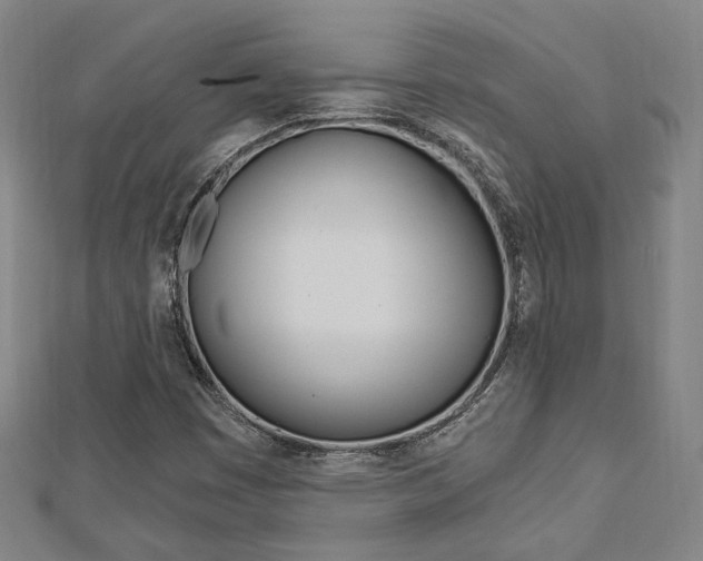 X0000112911449200908240957