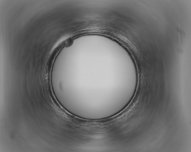 X0000112911450200908240957