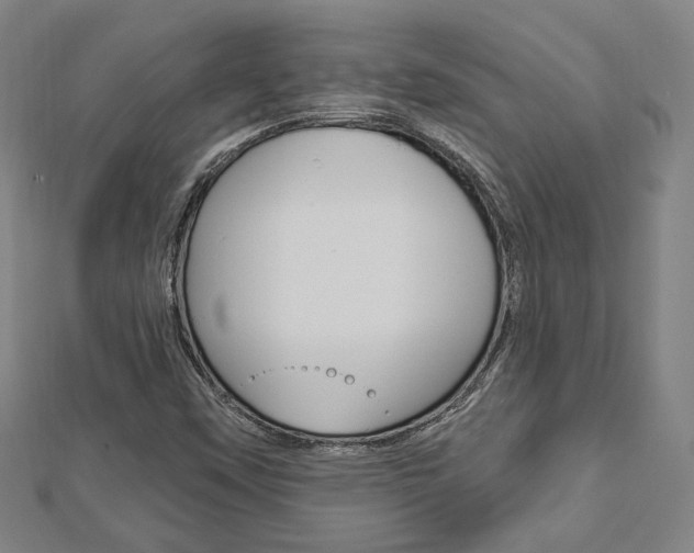 X0000112911451200908240957