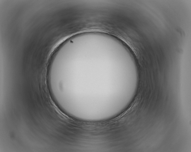 X0000112911452200908240957