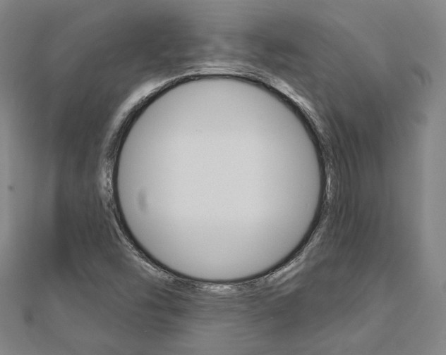 X0000112911454200908240957