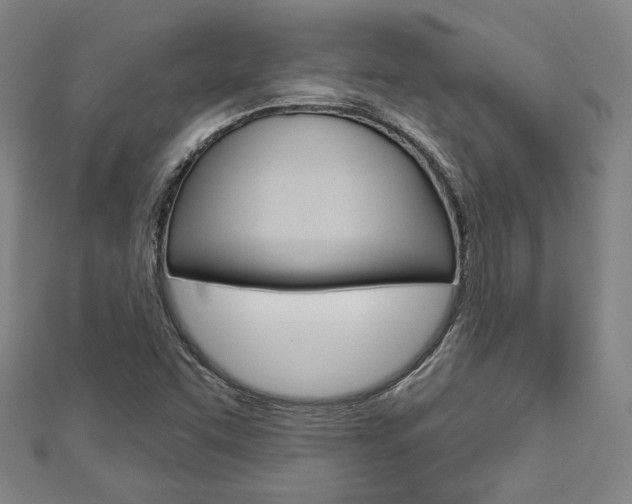 X0000112911455200908240957