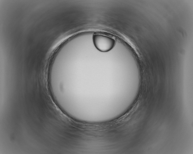 X0000112911456200908240957