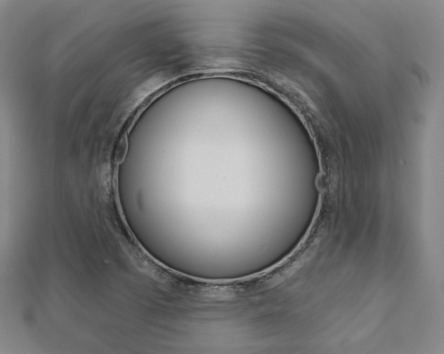 X0000112911457200908240957