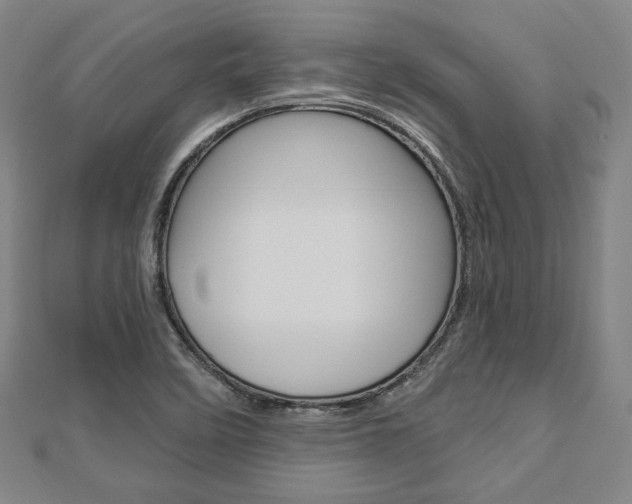X0000112911458200908240957