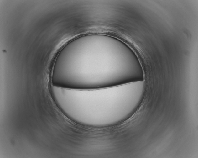 X0000112911459200908240957