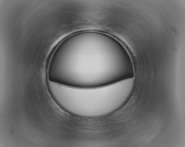 X0000112911460200908240956