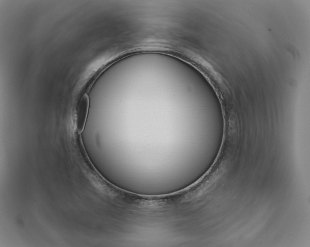 X0000112911461200908240956
