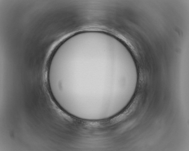 X0000112911462200908240956