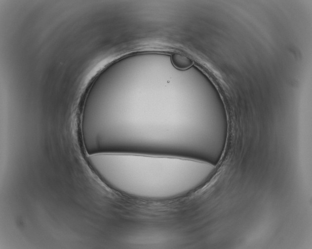 X0000112911463200908240956