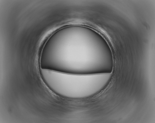 X0000112911464200908240956
