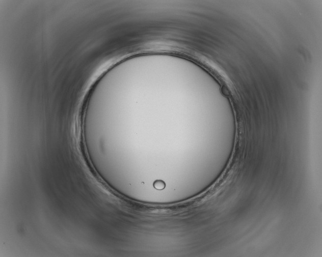 X0000112911467200908240956