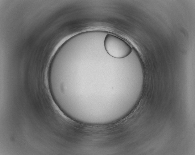 X0000112911468200908240956