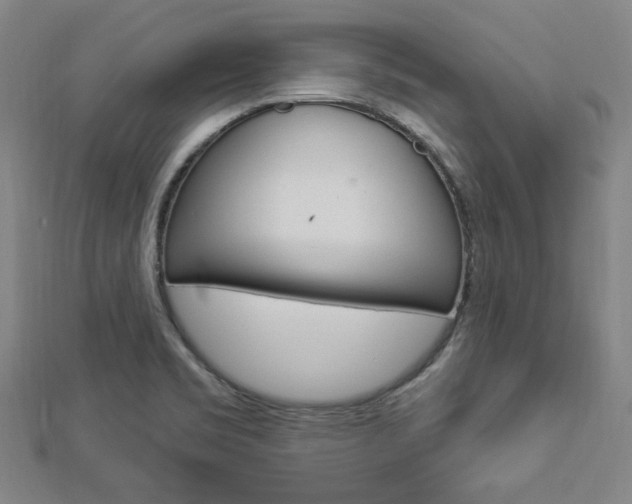 X0000112911469200908240956
