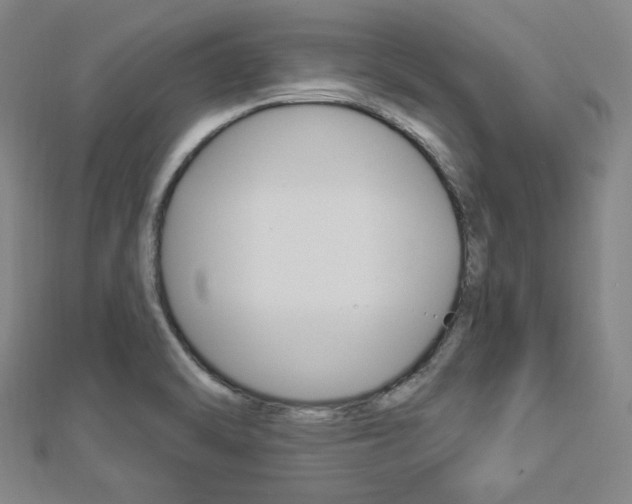 X0000112911470200908240956
