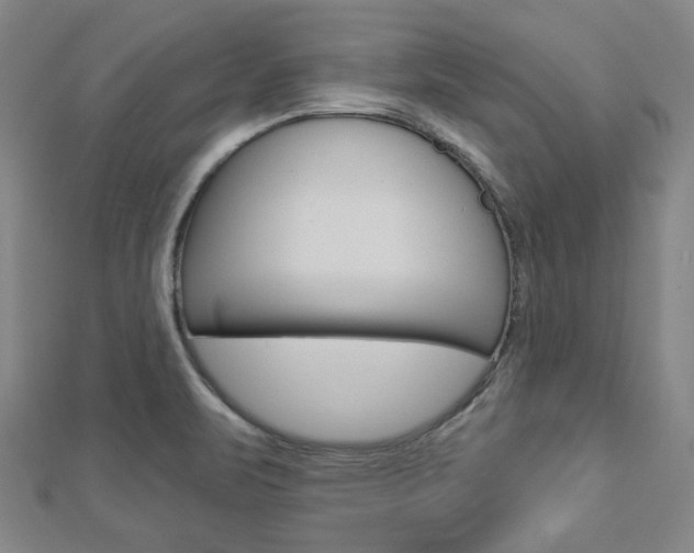 X0000112911471200908240956