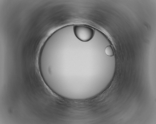 X0000112911472200908240956