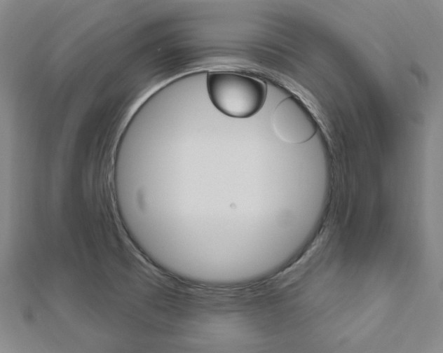X0000112911473200908240956
