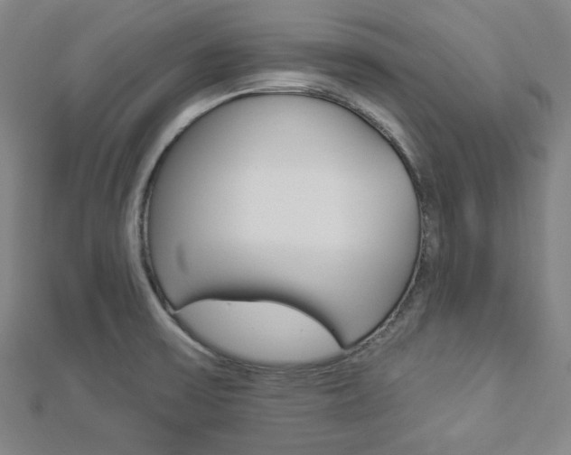X0000112911475200908240956