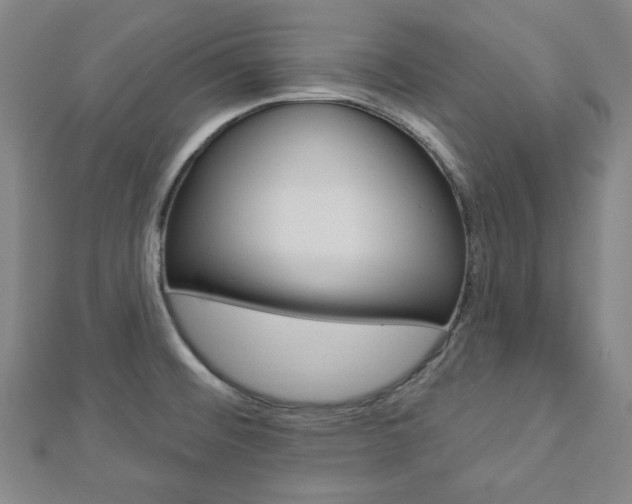 X0000112911476200908240956