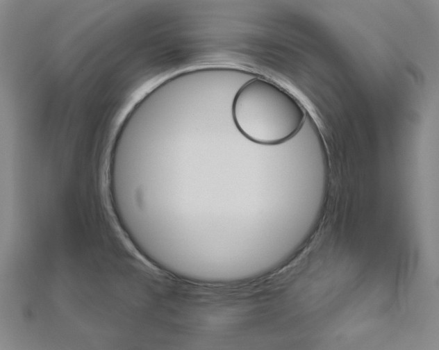 X0000112911477200908240956