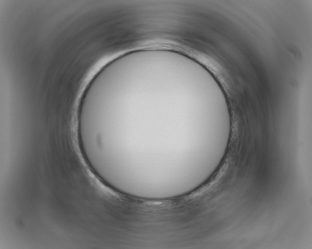 X0000112911478200908240956