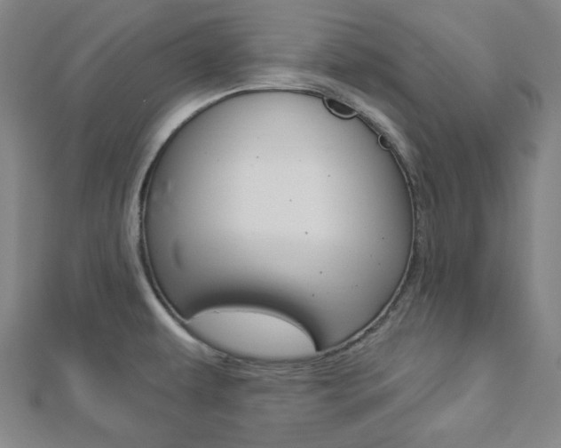 X0000112911479200908240956