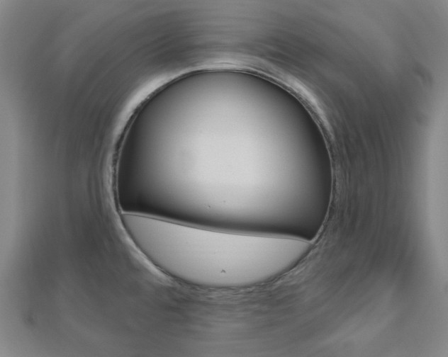 X0000112911480200908240956
